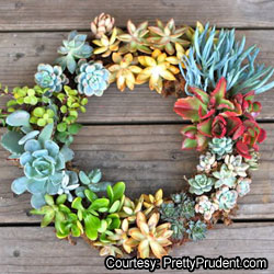 live-wreath