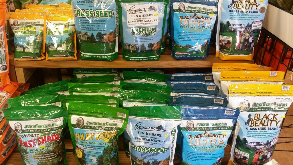 JonathanGreenGrassSeed Bayport Flower