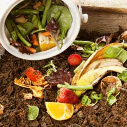 Compost