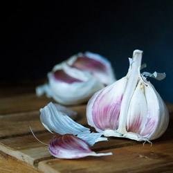 Growing Garlic